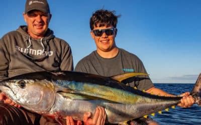 Episode 388: Sydney Tuna Fishing With Al .